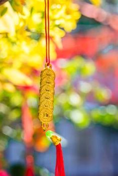  Vương quốc trò chơi 